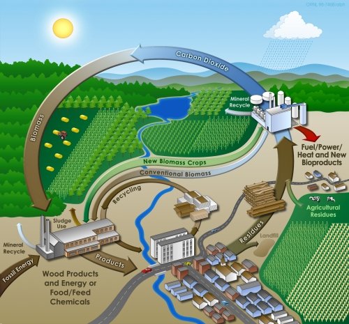 Bioenenergy Cycle